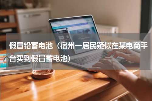 假冒铅蓄电池（宿州一居民疑似在某电商平台买到假冒蓄电池）