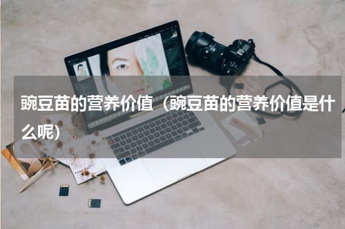 豌豆苗的营养价值（豌豆苗的营养价值是什么呢）